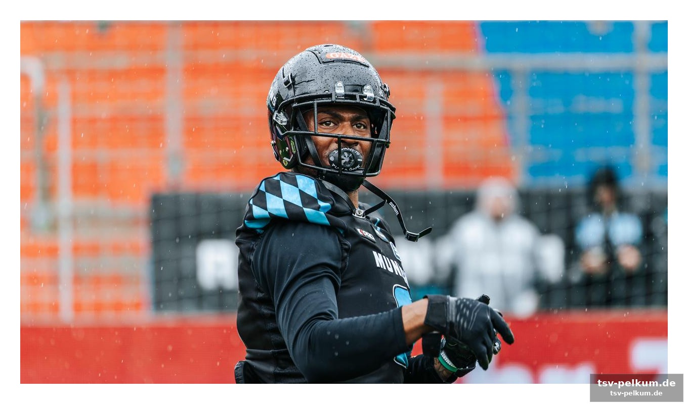 Die neuen stars: ravens, galaxy und co.
