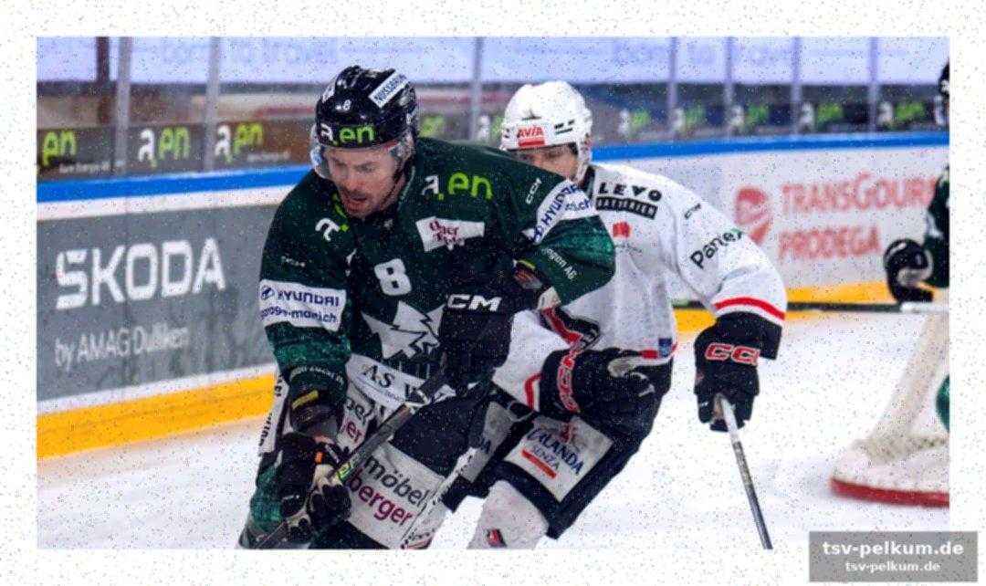 Ein nhl-erfahrener schlüsselspieler