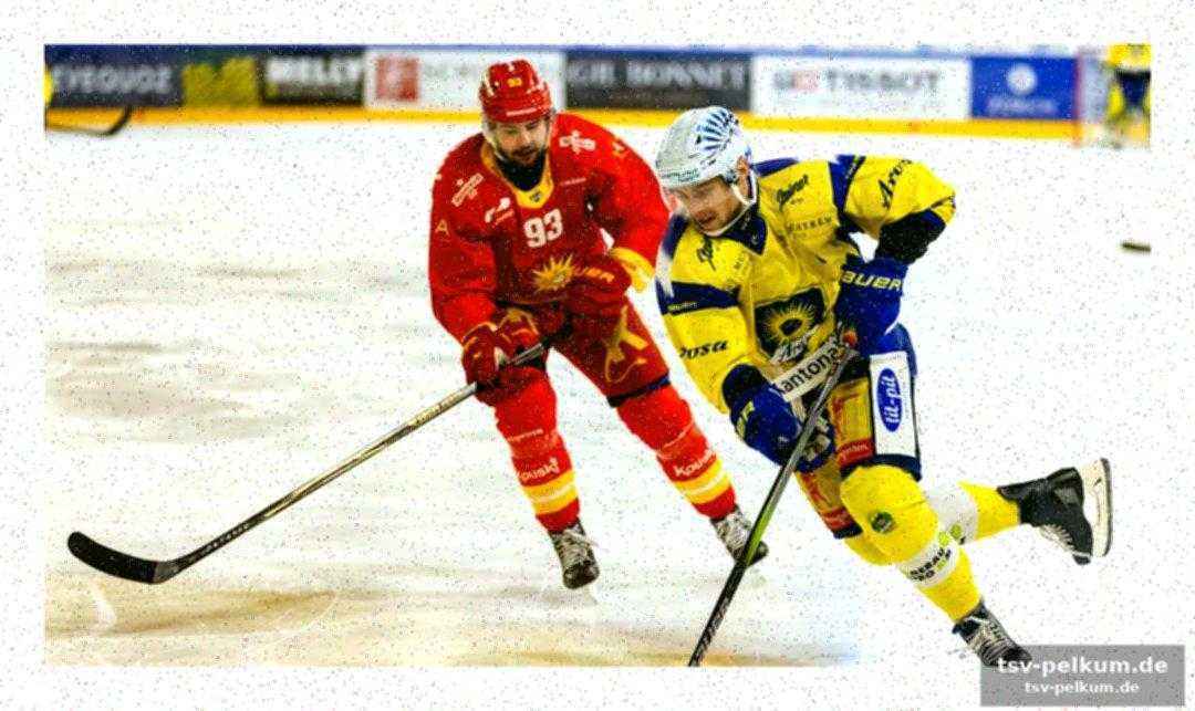Gregory weber verstärkt das mittelfeld