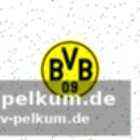 Deutsche beteiligung: bv borussia dortmund mit dabei