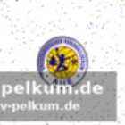 Armis priskus – die nummer eins im tor