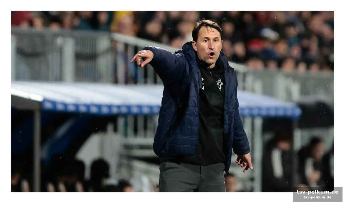 Neue herausforderungen: transferperiode und perspektiven
