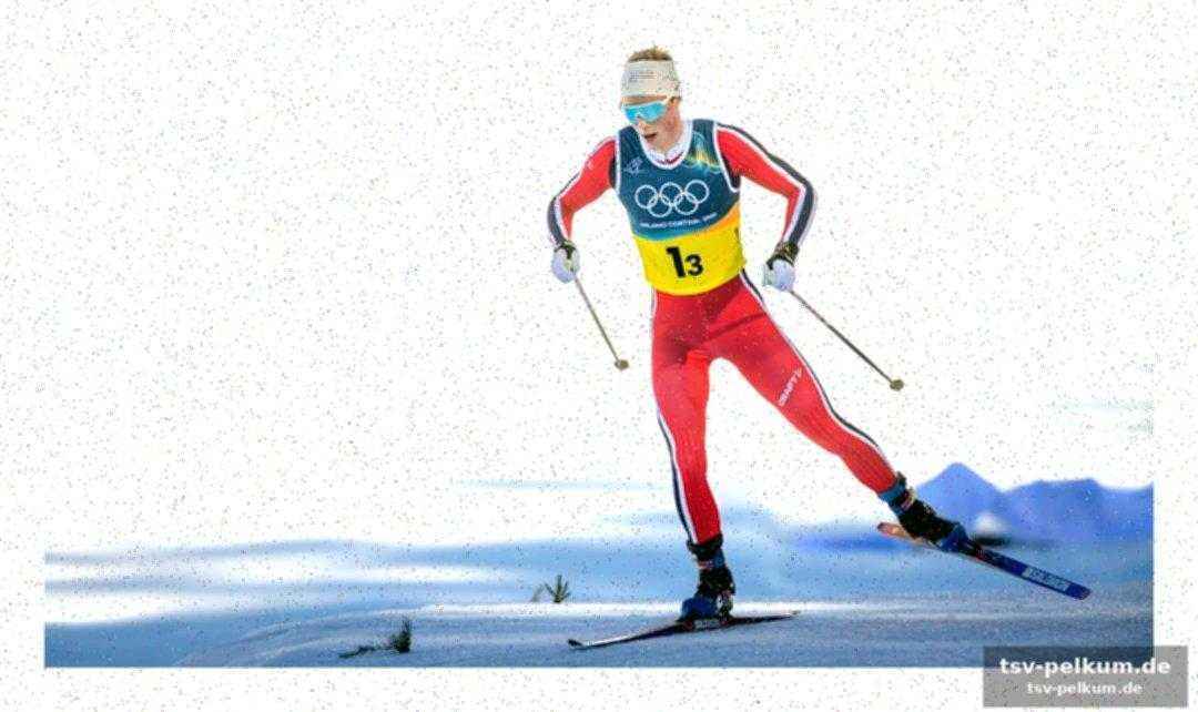 Von der biathlon-europameisterschaft zur olympischen bühne