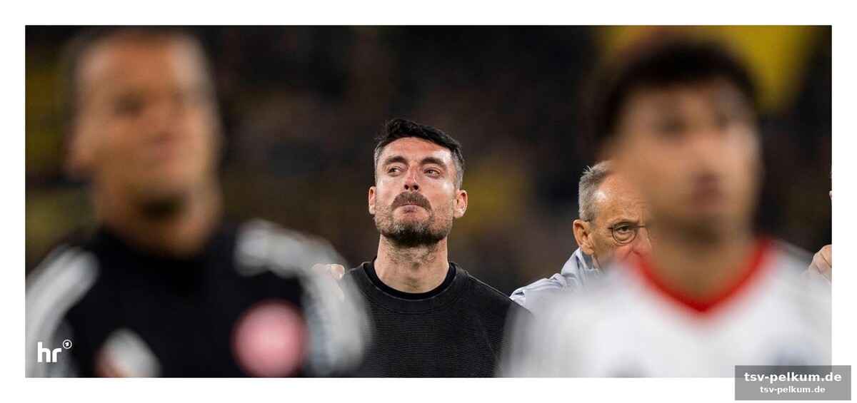 Gladbach als warnung: ein teurer kader ohne seele
