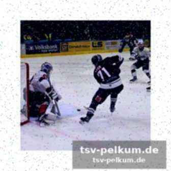 Weitere aktuelle sportnachrichten