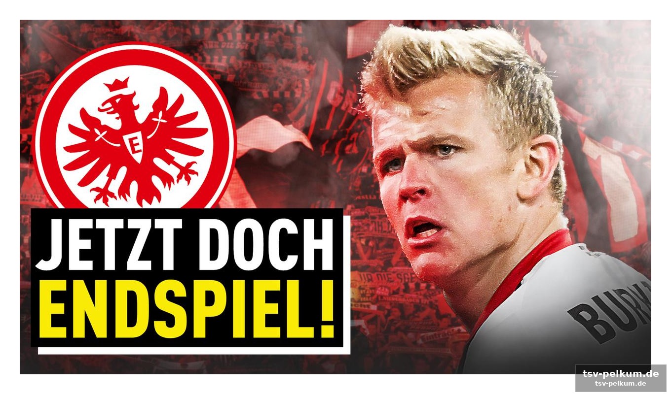 Die achterbahnfahrt der eintracht-saison