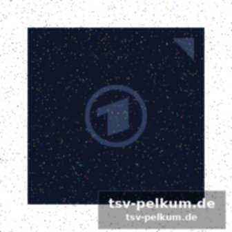 Stimmen zum spiel