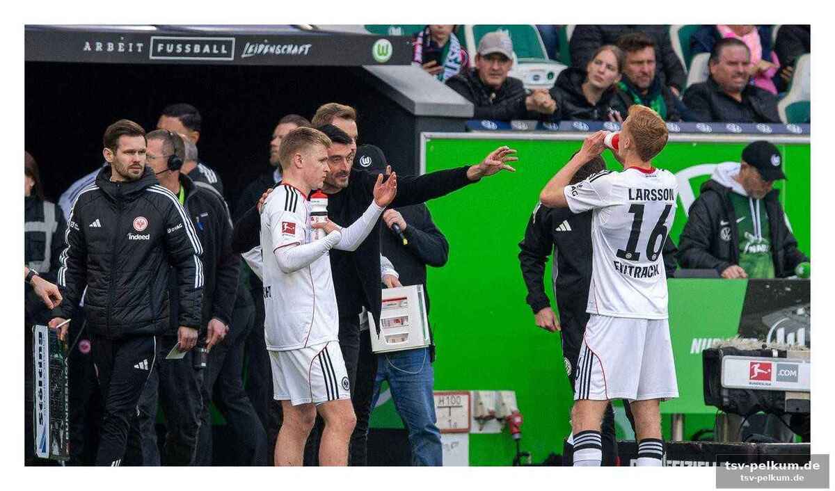 Die taktik des trainers: adler statt bullen