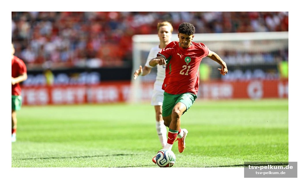 Wahi: torjäger-ambitionen für elfenbeinküste und eintracht