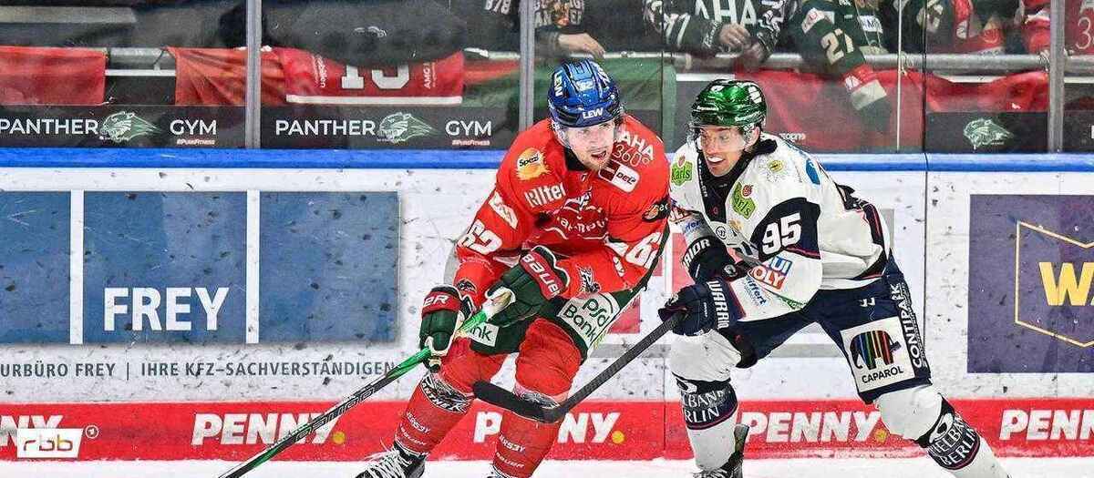 Eisbären berlin – der absturz geht weiter! playoff-träume in gefahr