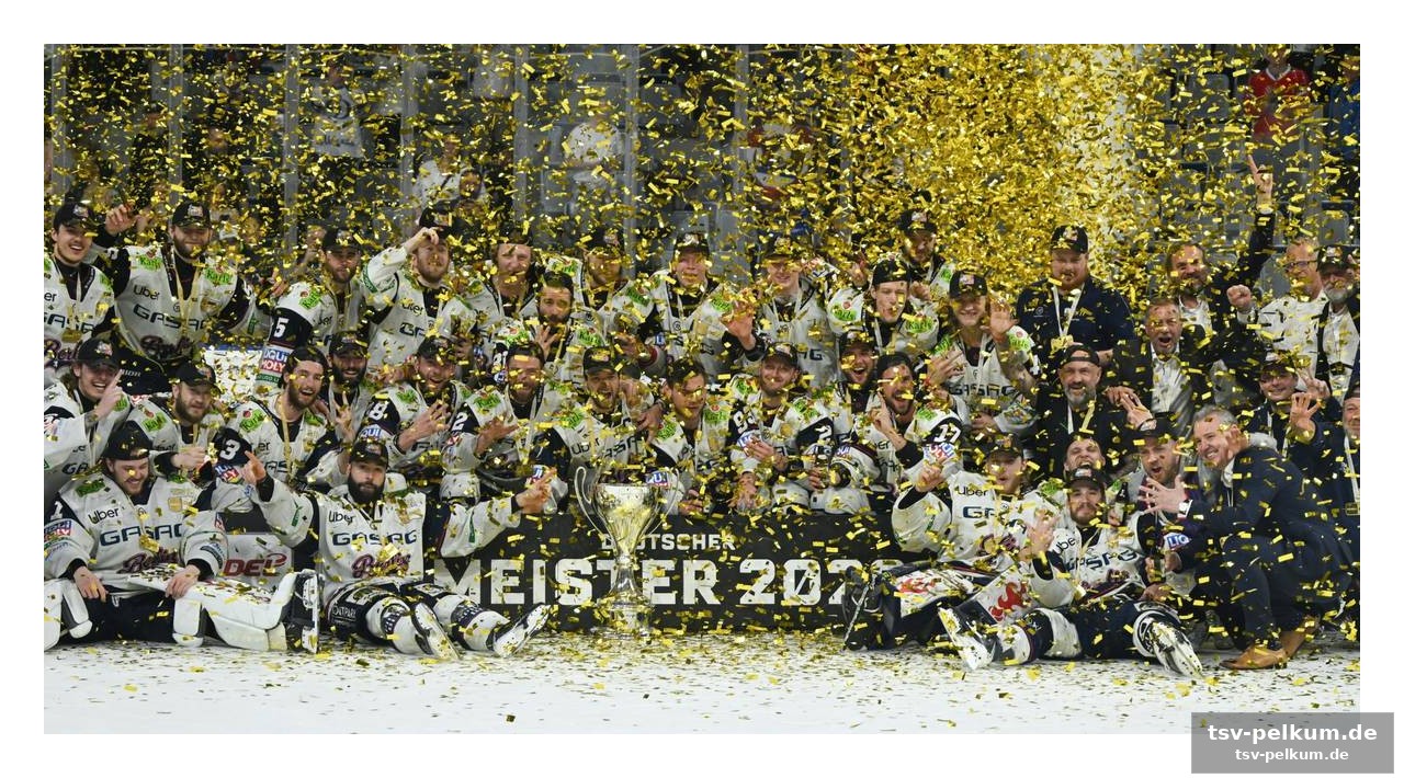 Ein blick in die playoff-historie