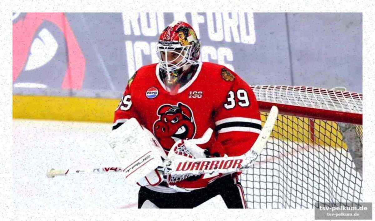 München demütigt ingolstadt – ein warnsignal für die eisbären?