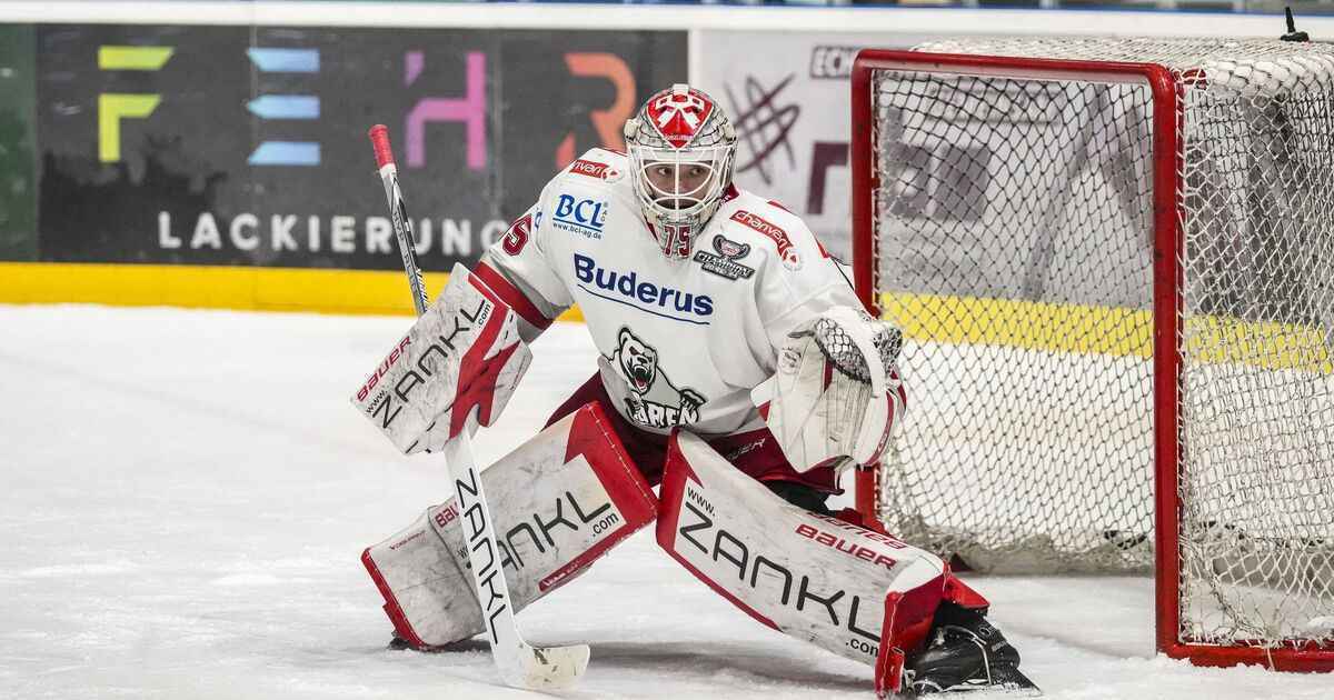 Eisbären berlin verstärken torwartposition: neffin kommt!