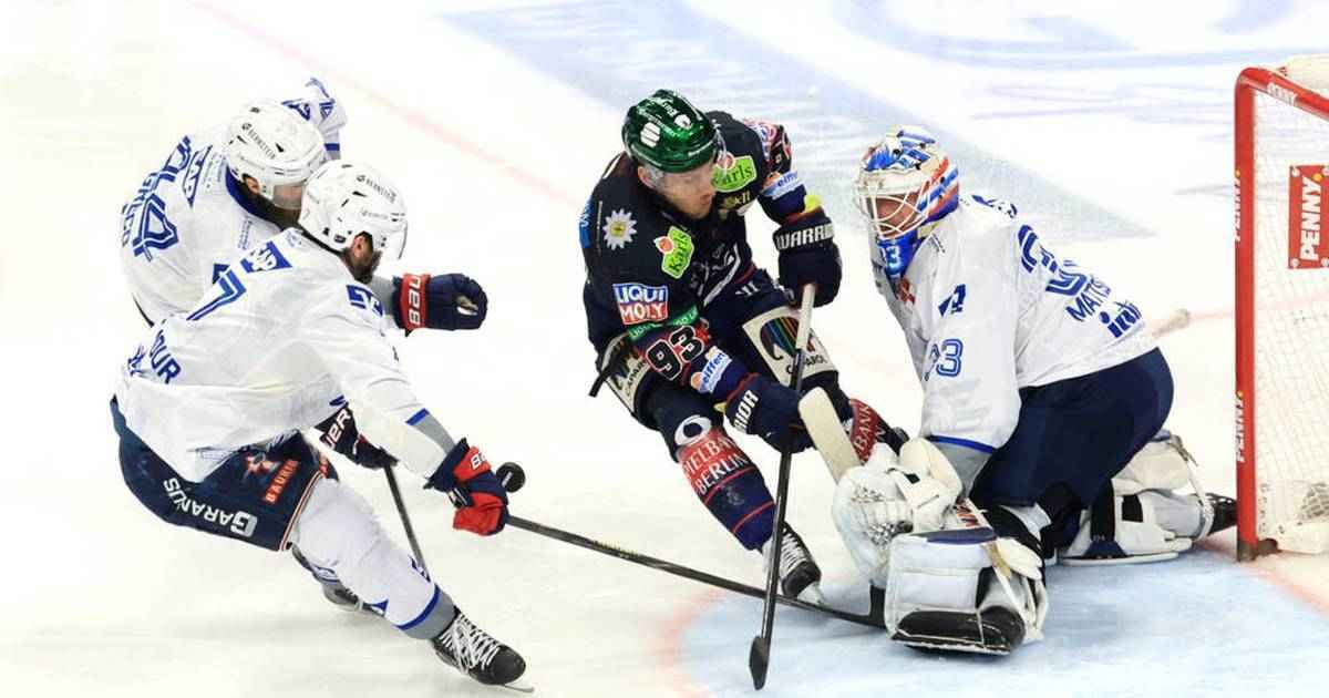 Eisbären berlin vor dem aus: kann mannheim das wunder noch vollziehen?