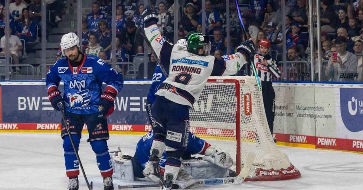 Eisbären berlin: zwölfter del-titel perfekt – serienmeister dominiert mannheim!