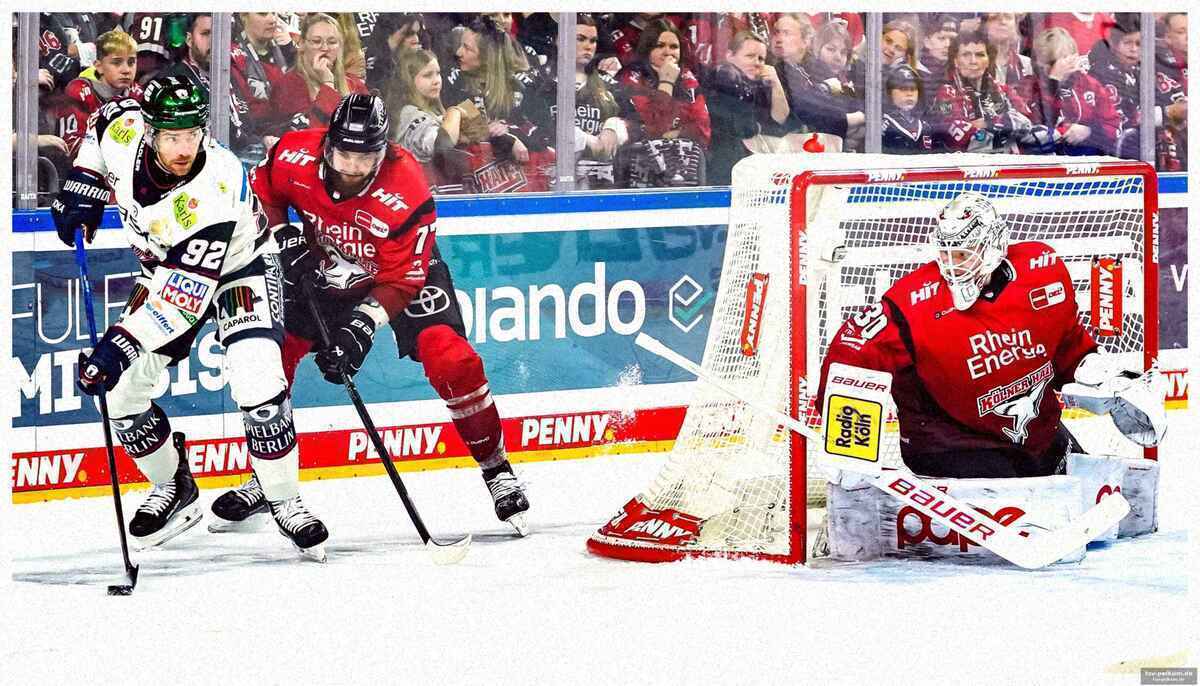 Juvonen hält die haie im spiel, stettmer hält die berliner im sieg
