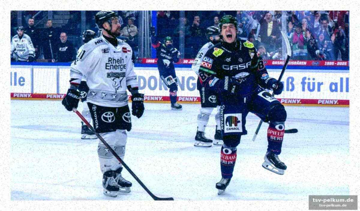 Kretzschmars traumtor und die antwort der haie