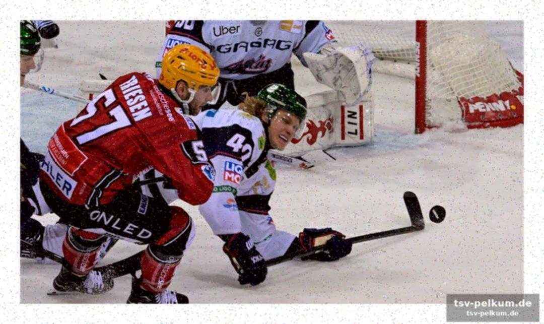 Fischtowns heimliches pfund: gudlevskis und das leichte programm