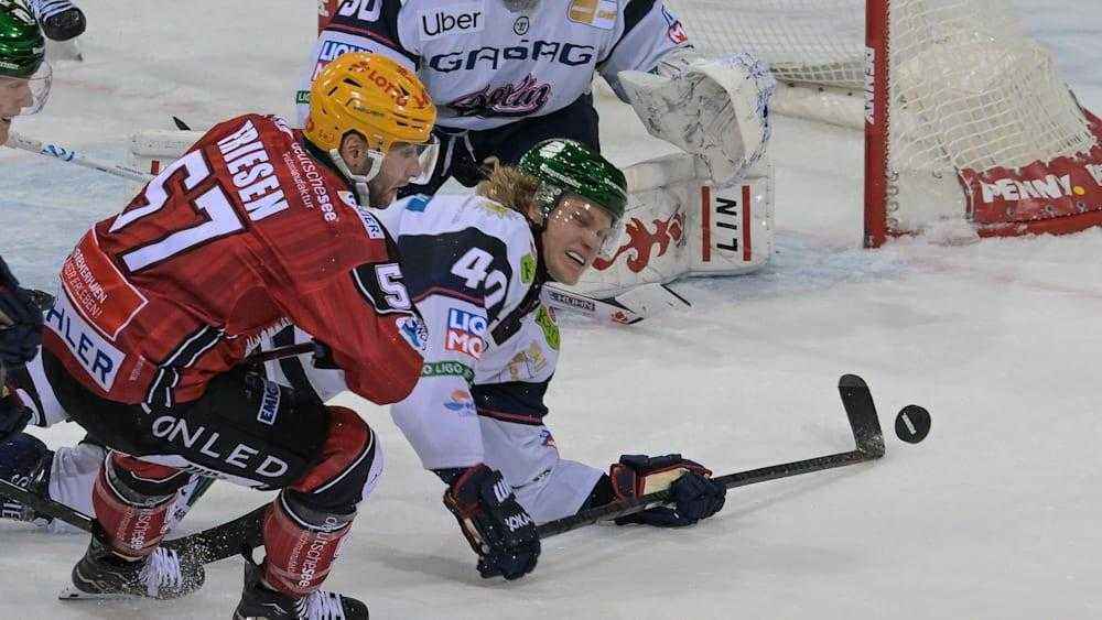 Eisbären gegen fischtown: jetzt zittert ganz berlin um den letzten play-off-platz
