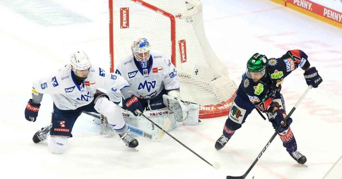 Eisbären patzen weg: mannheim zwingt zu entscheidungspiel!