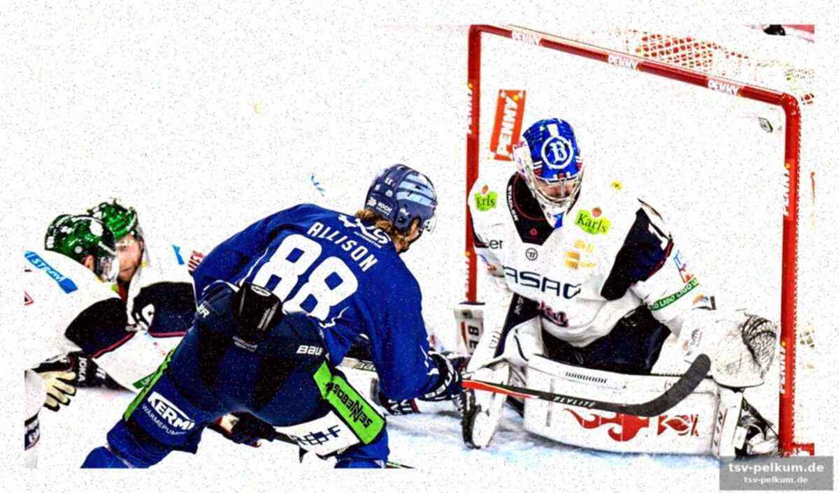 Turbulente partie: eisbären lassen führung durch die finger gleiten