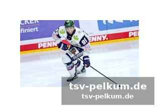 Der eisbären-fluch: mannheim sucht nach dem ausweg