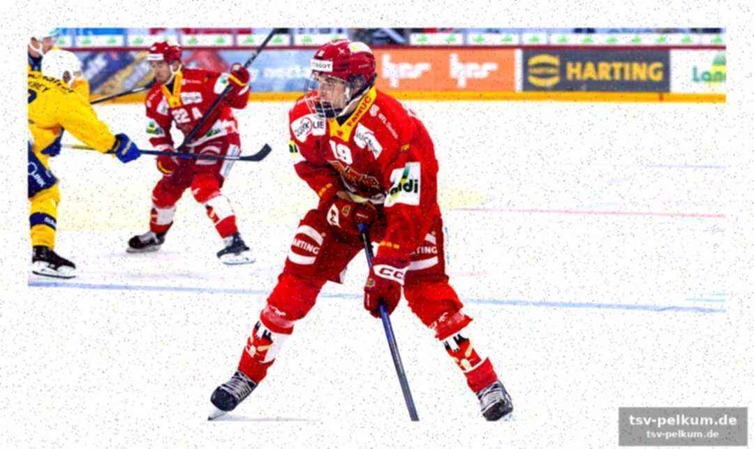 Die vorreiter: fribourg, die lions und davos