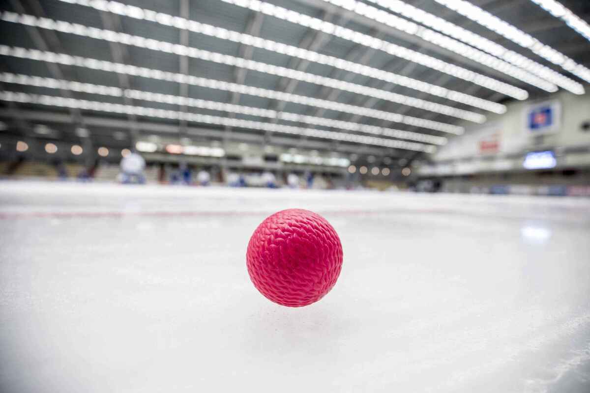 Eishockey trifft fußball: hessische nachwuchstalente glänzen beim bandy