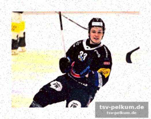 Die top-klubs: zsc lions, scl tigers, davos, bern und zug