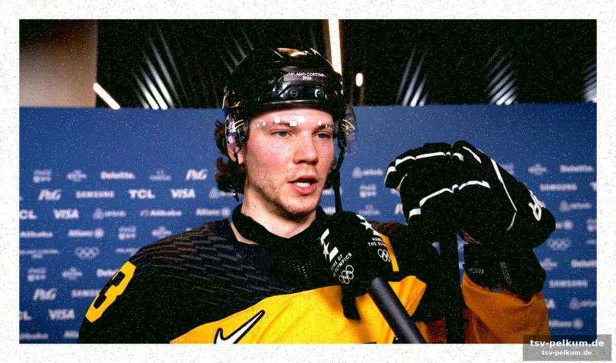 Das problem der integration: nhl-stars und del-spieler