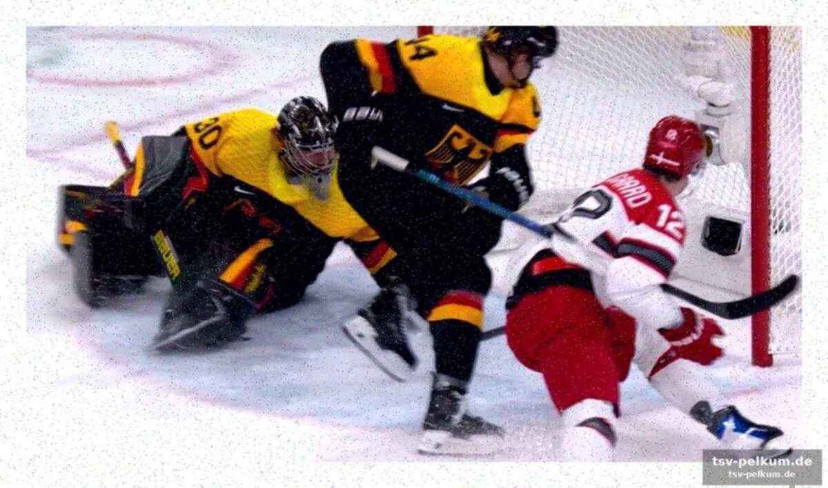 Nhl-stars im deutschen kader