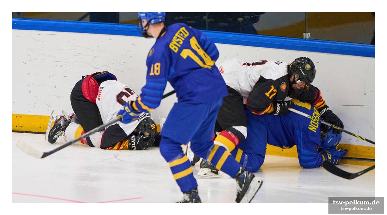 Das regelwerk: iihf und nhl – ein vergleich