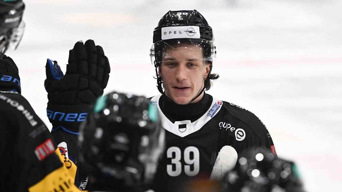 Eishockey-sensationen: junge wilderer stürmen in die national league!