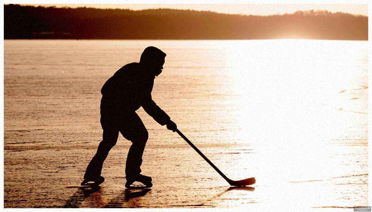 Der stressfaktor lärm: schallwellen unter wasser