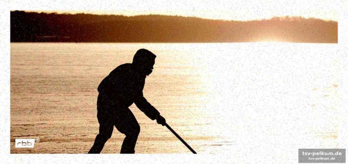 Die überlebensstrategie der fische im winter