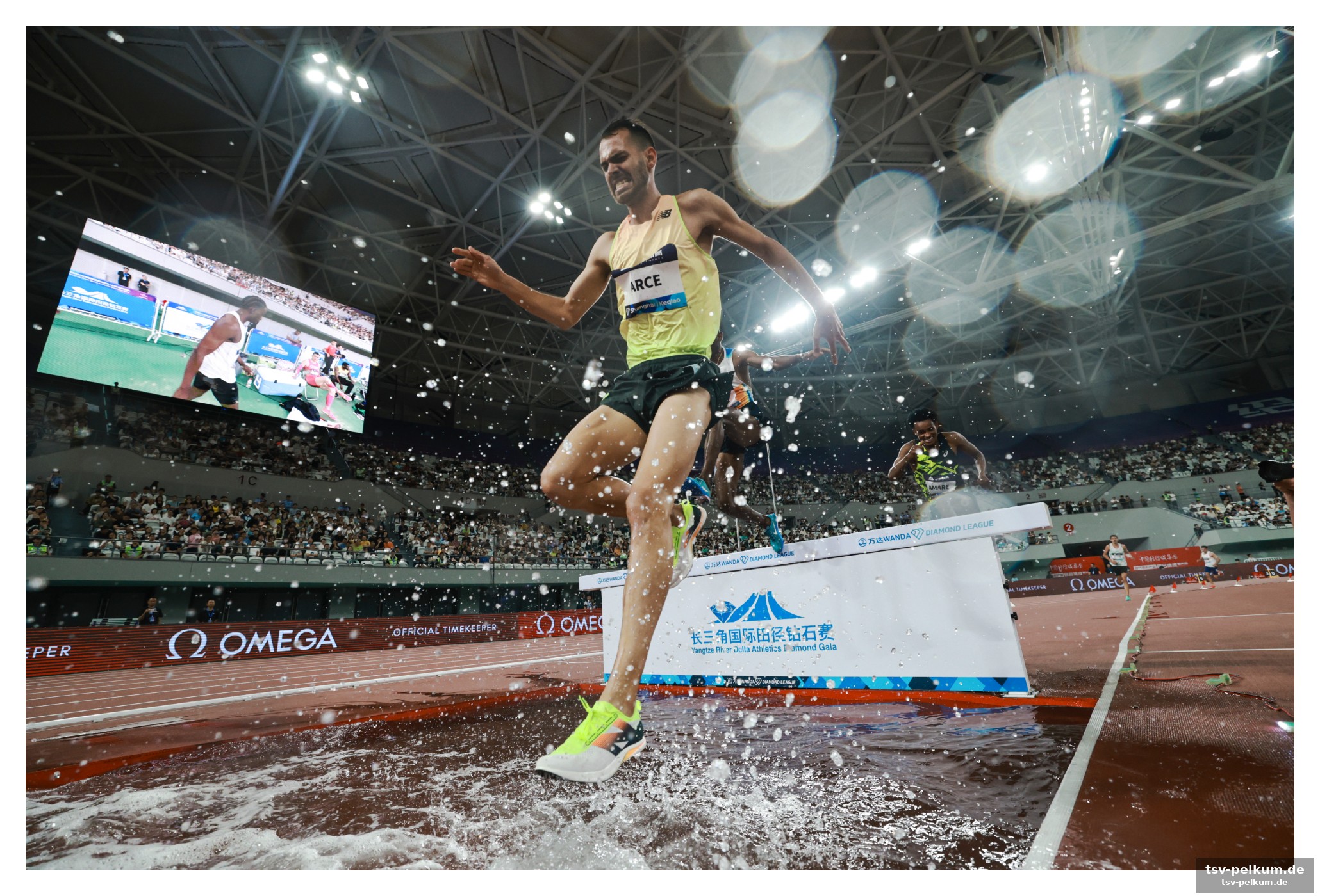 Jamaikanischer dreifach-sieg im 100m-lauf, bednarek setzt sich im 200m-rennen durch