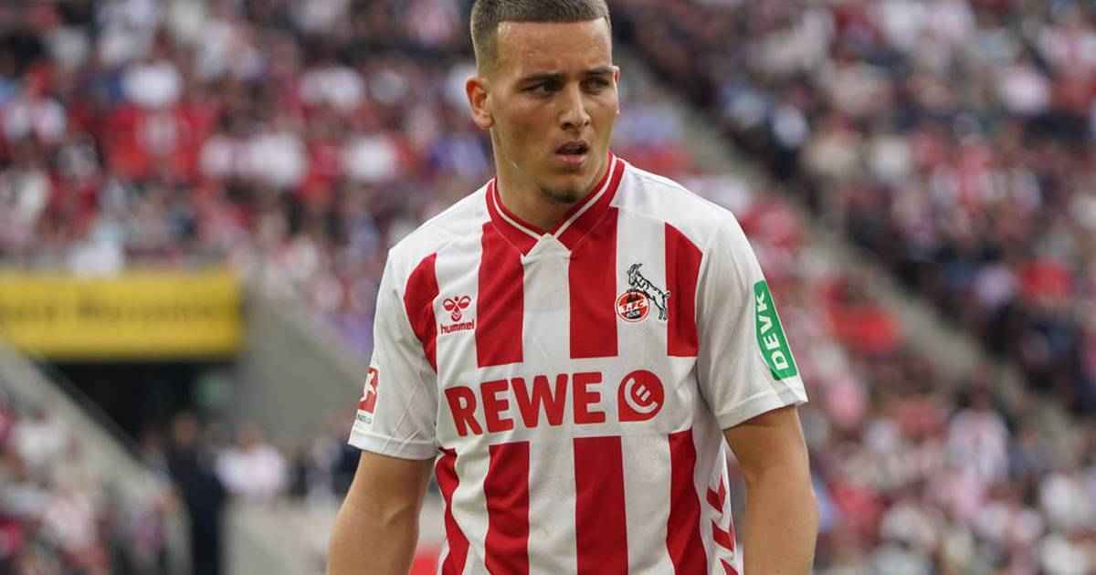 El mala: brentford erhöht den einsatz – köln bleibt hart!
