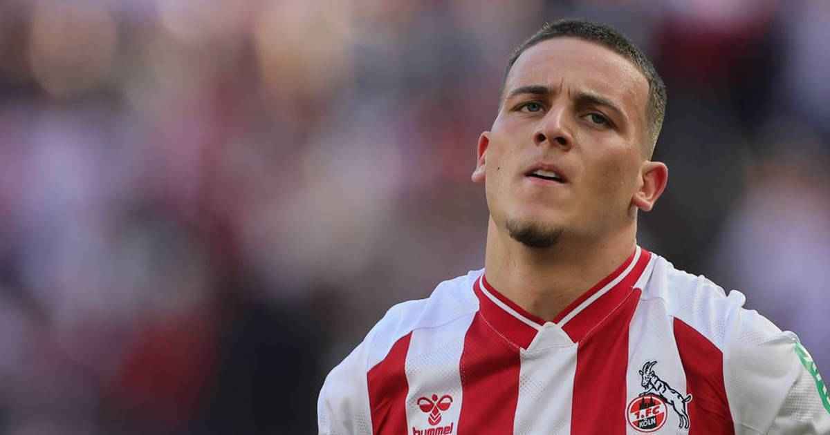 El mala-transfer: brighton steigt aus - köln fordert 50 millionen!