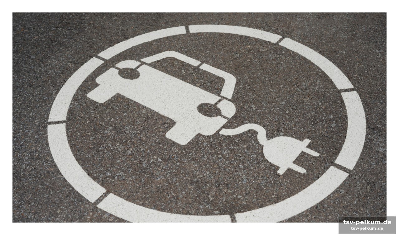 Hybride dominieren, doch e-autos holen auf