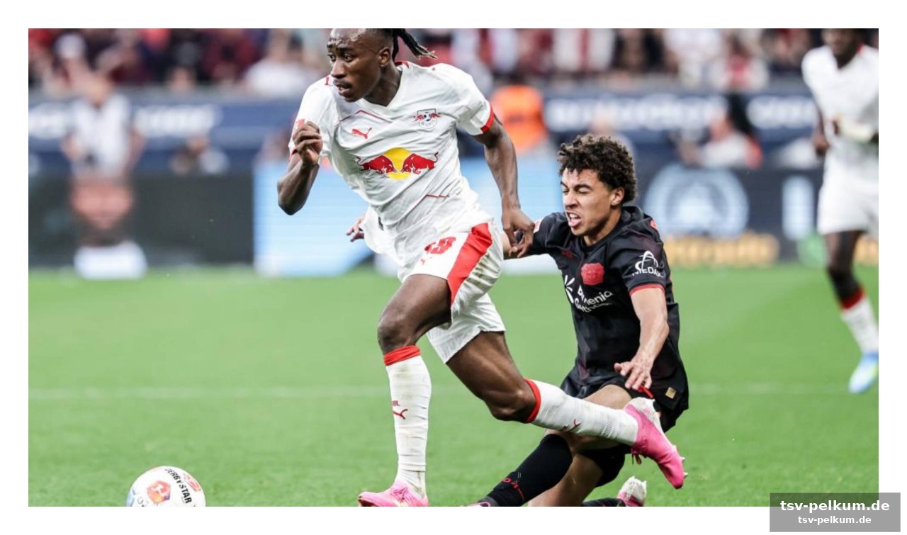 Wer gehört zum wm-team der elfenbeinküste?