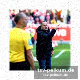 Weitere strittige szenen und die aktuelle situation des fca