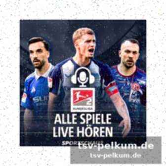 Statistik zum spiel