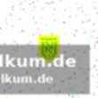 Ausblick und weitere informationen