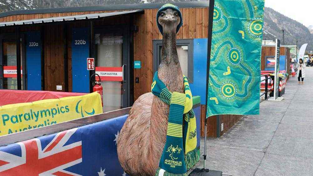 Emu-entführung in cortina: australien sucht bruce und findet ihn im kapuzenpulli