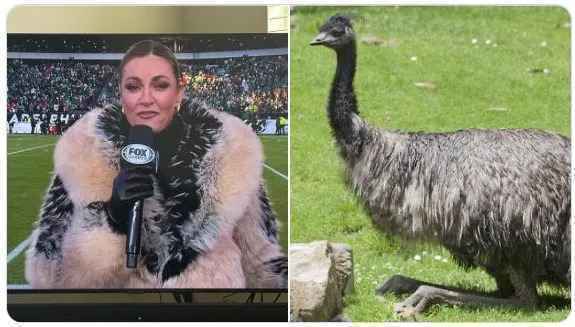 emuwirbel um erin andrews: tv-star im pelzmantel sorgt für sensationshaften hit!
