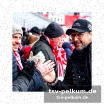 Die startelf von cottbus