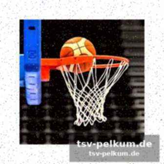 Weitere spiele der saarlouis royals