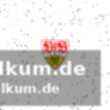 Führichs erklärung und die diskussion mit dem schiedsrichter