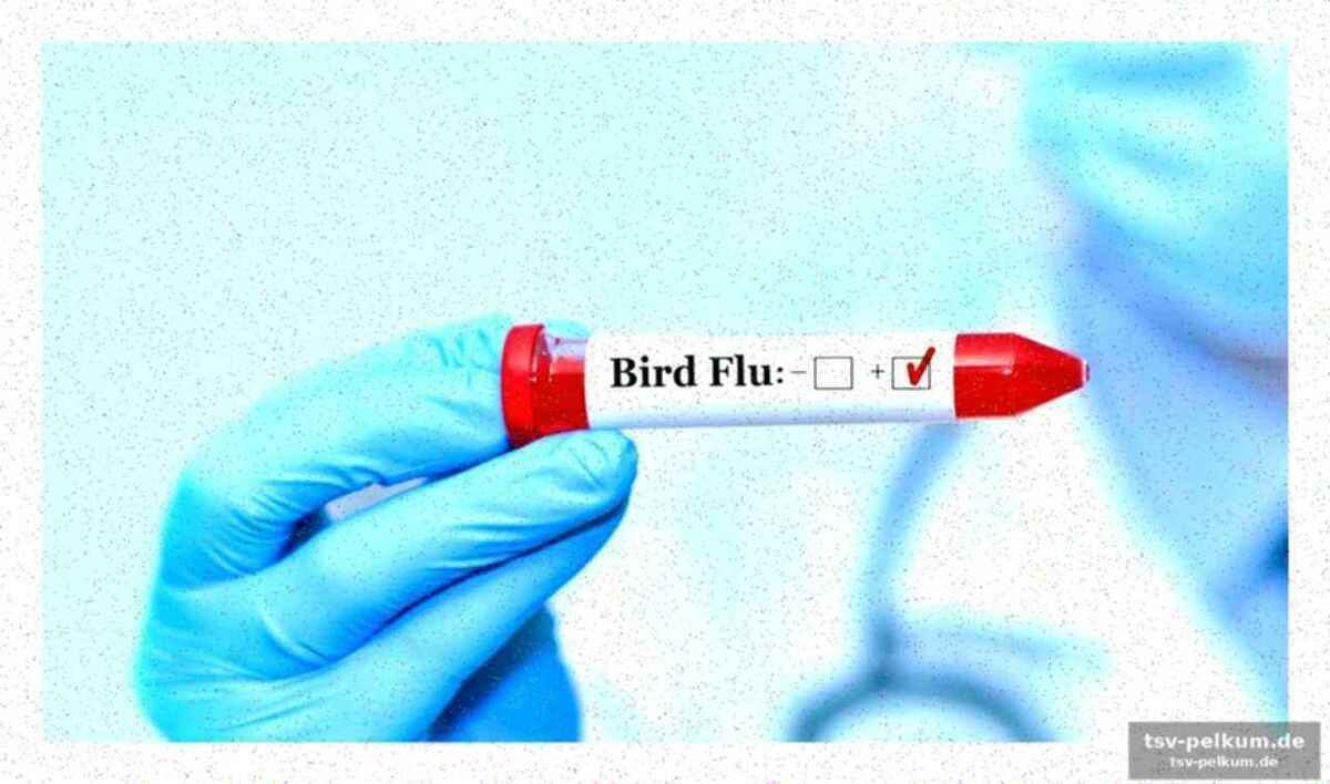 Warum h9n2 trotz niedriger gefährlichkeit alarm auslöst