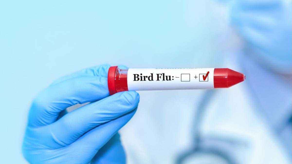 Erster vogelgrippe-fall in europa – italiens gesundheitsamt lässt alarmglocken schrillen